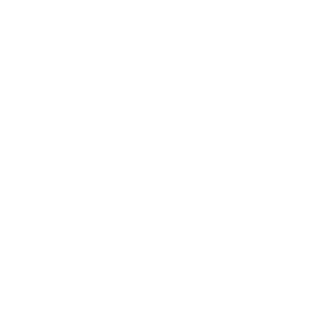 car gate